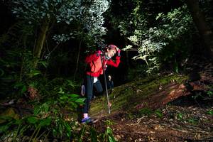 BIB: 
                            <button type="button" onclick="openModal(15974016)" class="btn btn-primary btn-sm float-right btn-popup" data-toggle="modal" data-target=".modal-high-quality">
                        <i class="fas fa-shopping-cart"></i> Add to Cart
                    </button>
                                            <button type="button" onclick="isThisMe(15974016, true)" class="btn btn-success btn-sm float-right btn-popup btn-isme hidden" data-toggle="tooltip" data-placement="bottom" title="นี่คือรูปของคุณใช่ไหม คลิกที่นี่เพื่อเอาเข้าอัลบั้ม">
                        <i class="fas fa-plus"></i> Add to album
                    </button>
                    <button type="button" onclick="isThisMe(15974016, false)" class="btn btn-warning btn-sm float-right btn-popup btn-isnotme hidden">
                        <i class="fas fa-ban"></i> Remove from album
                    </button>